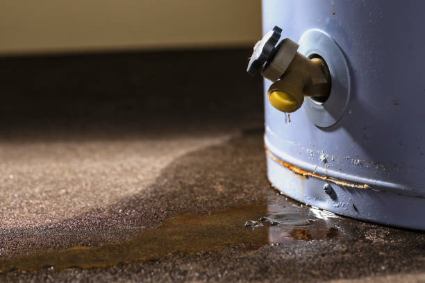  Nassau Bay, TX Water damage restoration Pros