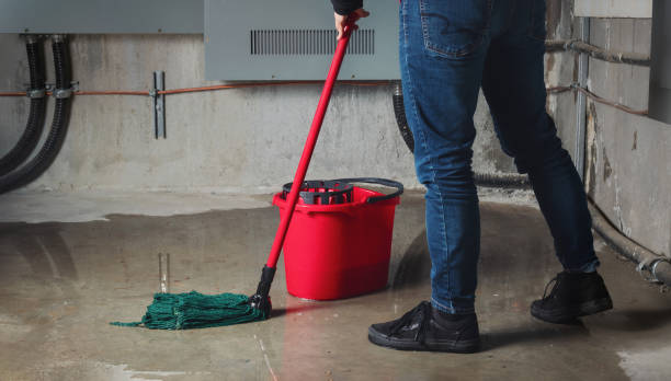 Best 24/7 water damage repair  in Nassau Bay, TX