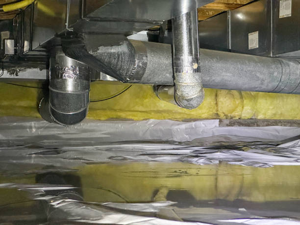 Best Ceiling water damage repair  in Nassau Bay, TX