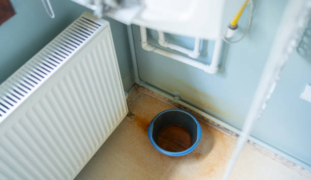 Best Mold removal after water damage  in Nassau Bay, TX