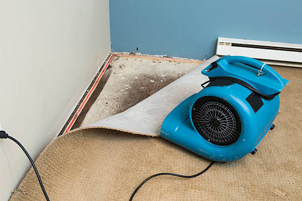 Best Flood damage cleanup  in Nassau Bay, TX